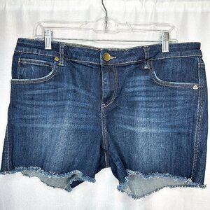 Kut from the Kloth Women’s Raw Hem 3 1/2” Shorts, Size 12 Preppy Boho Whiskered